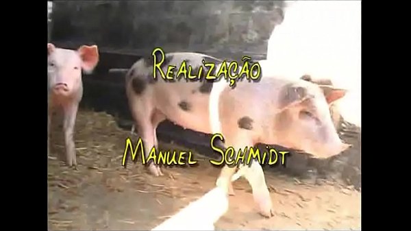 1º Mês na Quintada Conde Melhores cenas