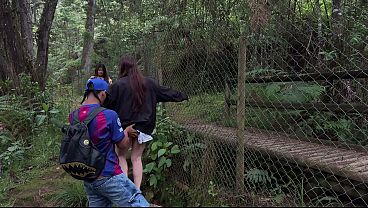 Nonton Threesome In The Woods With Two Pretty Girls . thumbnail