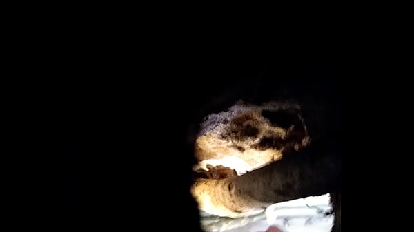 Play MP4 - Grabando a mi vecina