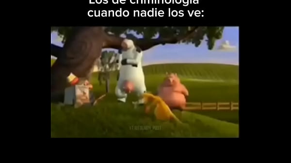 Los de criminalistica XD (meme)