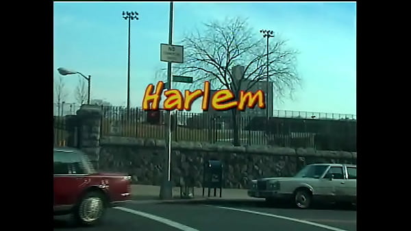 Play MP4 - HARLEM HO'S &num;1 &lpar;Horizon&rpar;