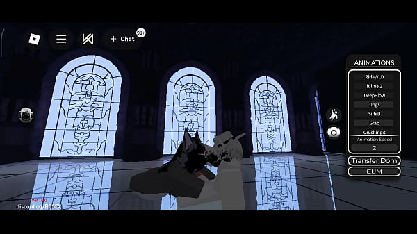 Getting a shark pregnant 