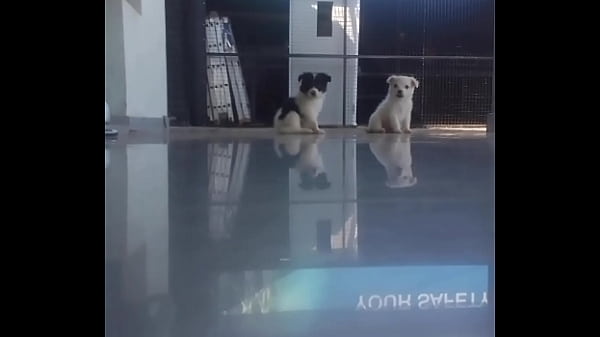 Nonton Kigali thumbnail