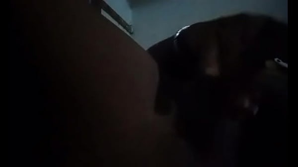 Perrita de falcó_n Venezuela