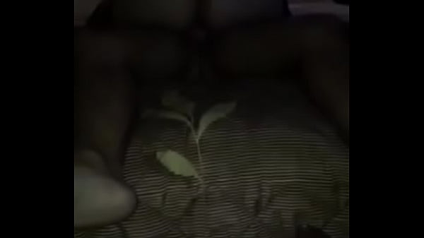 Play MP4 - Trio con pareja