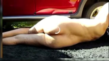 Pornography In The Sun thumbnail