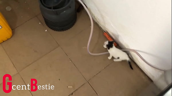 I catch my stepsister in the kitchen and we end up having real sex this sunday morning 