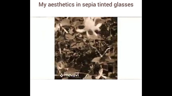 Sampling oliver cheatham 