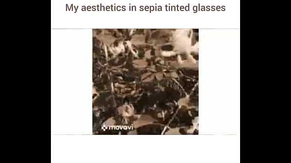 Sampling oliver cheatham 