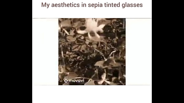 Sampling oliver cheatham 