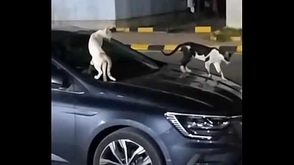 Nonton Xxx But thumbnail