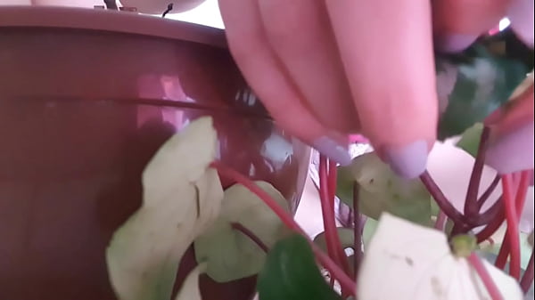 Garota Gostosa De Perna Aberta thumbnail