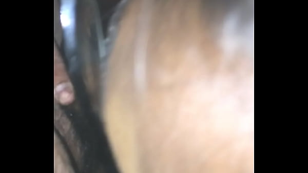 trim.85E31E30-5D2C-49BF-95DA-E6E0C44FD620.MOV