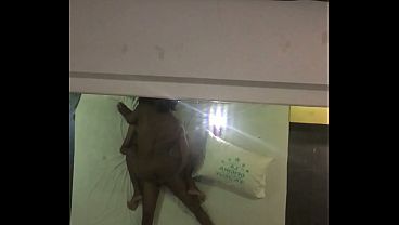 Ellame diceque solo seríauna mamada y terminamoscojiendo ricos