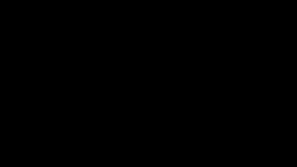 Fernando mongo transando com japones chapado na rede em colombo 