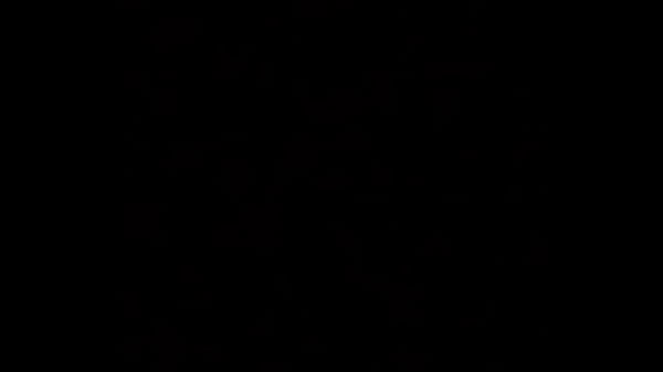 Fernando mongo transando com japones chapado na rede em colombo