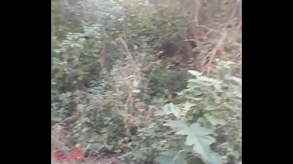 Play MP4 - Punheta no mato 1