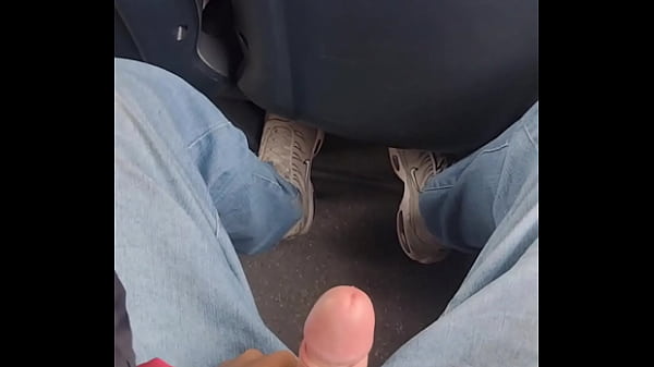 Punheta no &ocirc_nibus