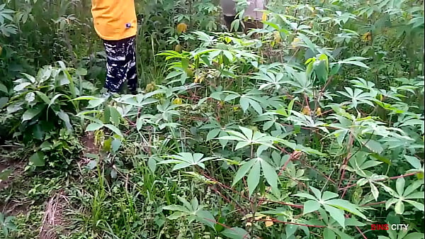 Two sharp guys fuckedthe King's maid while_weeding the cassava farm