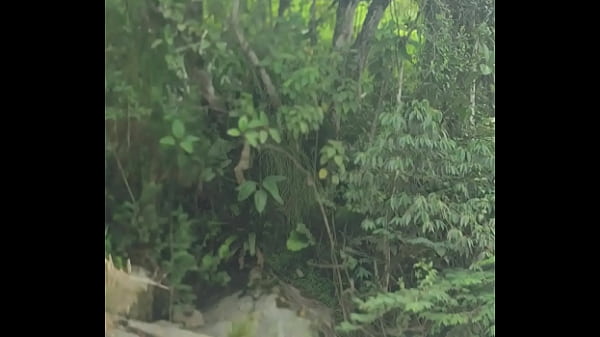 Play MP4 - Follando salvaje