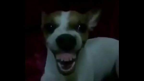 Blonde girl hot blonde 