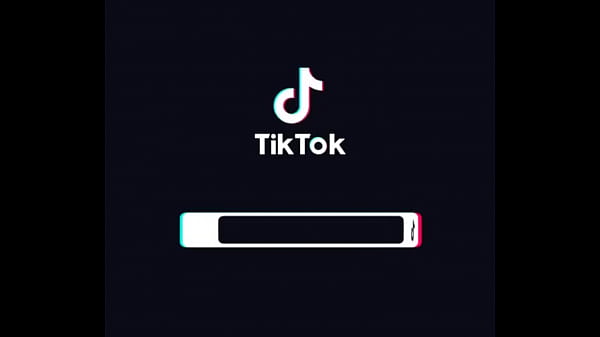 Gatos para dejar el porno 