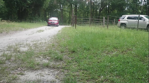 Hillbilly Breeding thumbnail