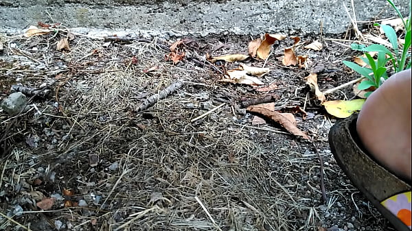 VID 20170813 145111