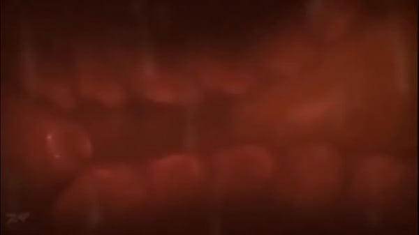 Play MP4 - Pau socando uma buceta at&eacute; gozar no &uacute;tero