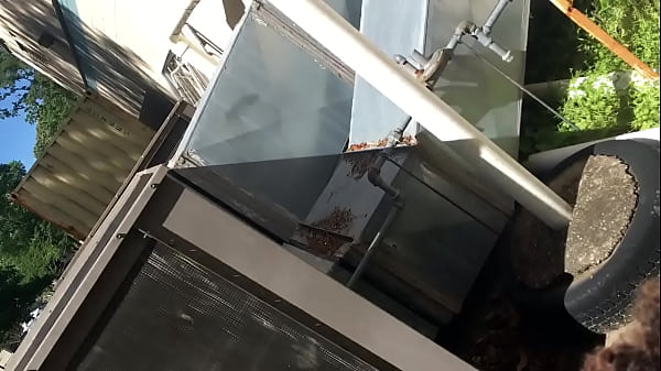 Nonton E46fbcef-cfcc-4c2c-b04c-0e8e7e227e95.mov thumbnail