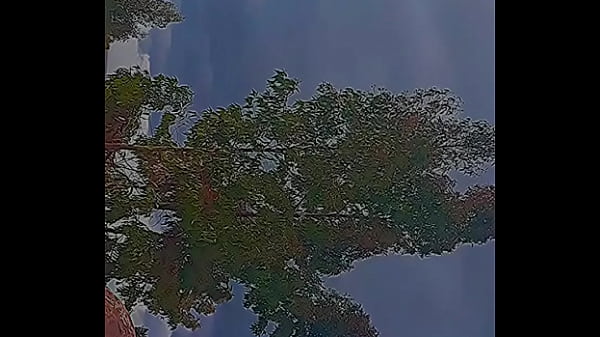 Nonton Lo Mas Extremo thumbnail