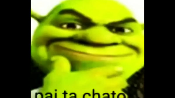 V&iacute_deo de verifica&ccedil_&atilde_o