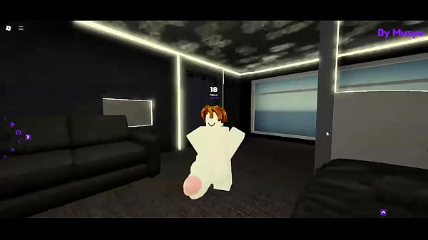 Video de verificaci&oacute_n