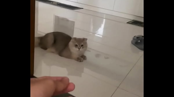 Video x&aacute_c minh