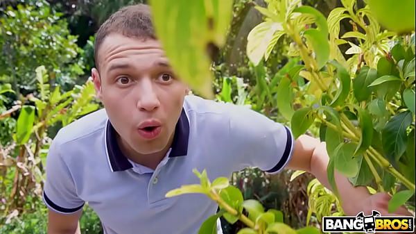 Play MP4 - Wife Next Door