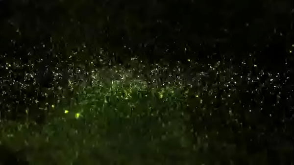 Cheromani on fleek prod cxo official audio 2025 