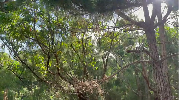 Nonton Dupla Mamada thumbnail