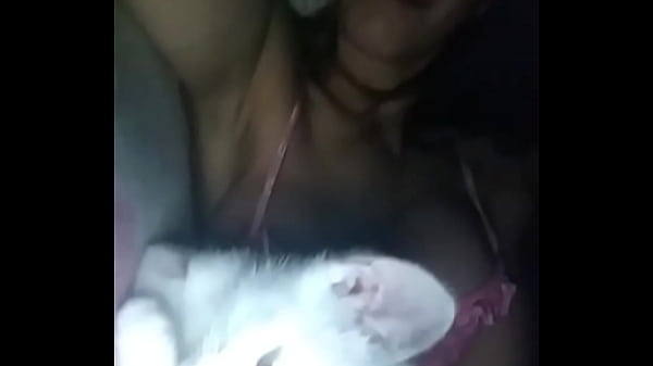 Gatinho 