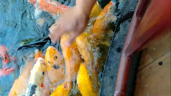 Video x&aacute;c minh 