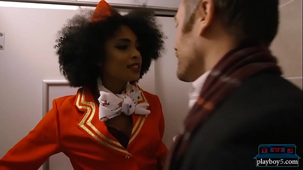 Black flight attendant fucks a frequent_flyer in a_toilet