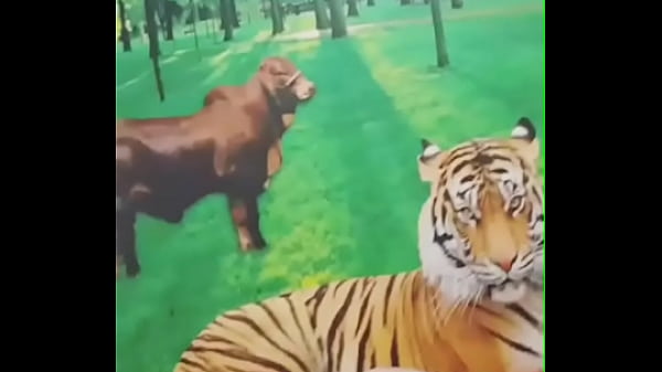 Gp Ativo fodendo cliente 