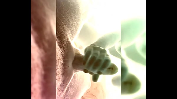 Brenda cogecon su_profesor