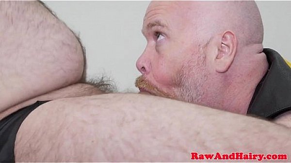 Superchub facefucks and barebacks heavy bear 