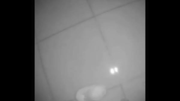 Горячая жена принимает сосед thumbnail