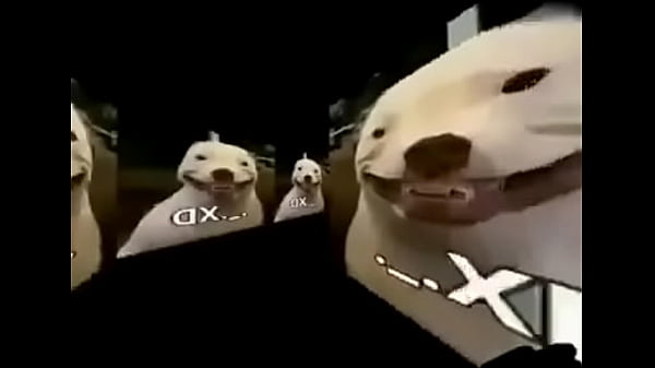 Grande boquita