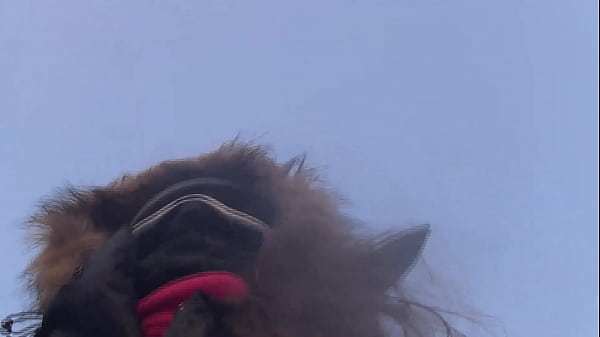 In the role of the icequeen 