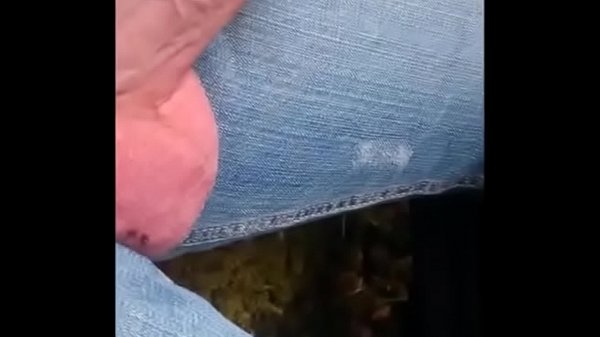 Verga para los mosquitos 