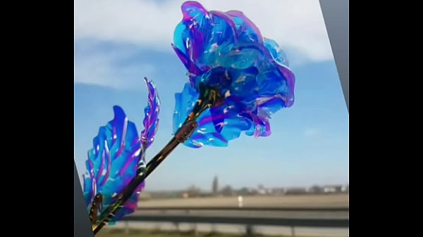 فيديو التحقق 