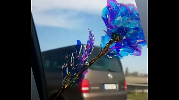 فيديو التحقق 