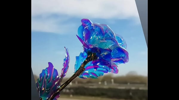 فيديو التحقق 